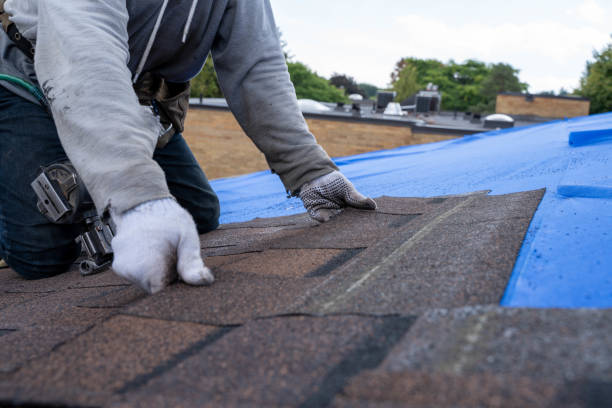Best Flat Roof Repair Services  in Magee, MS