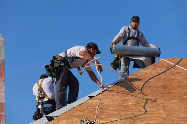 Best Commercial Roofing Services  in Magee, MS