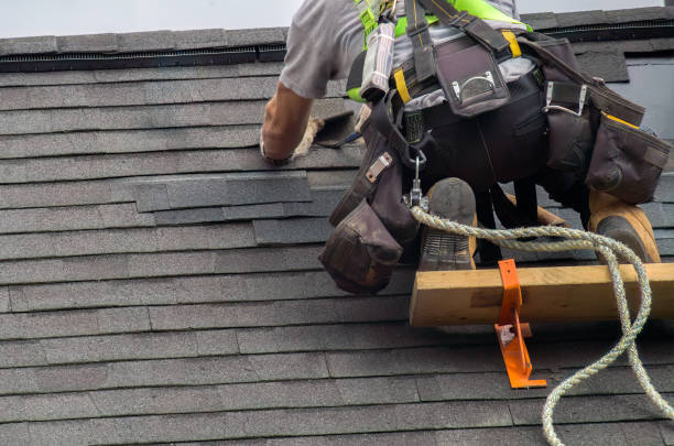 Best Metal Roofing Contractor  in Magee, MS