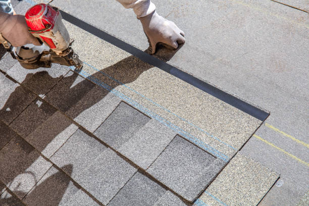 Best Roof Maintenance Services  in Magee, MS